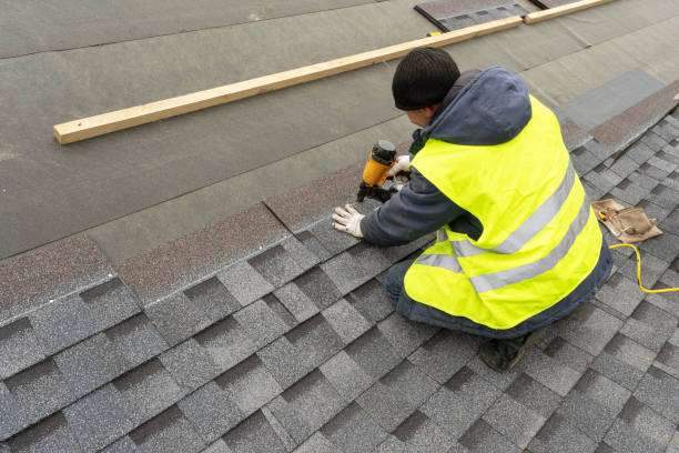 Best Roof Repair Specialists  in Le Mars, IA