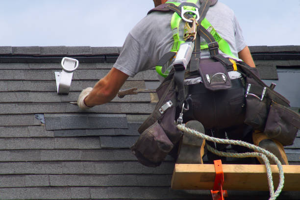 Best Roof Waterproofing Services  in Le Mars, IA