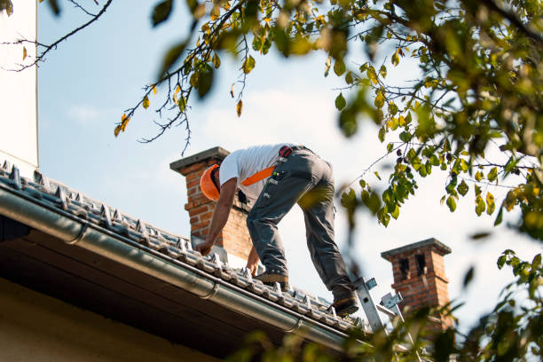 Best Roofing Contractor Near Me  in Le Mars, IA