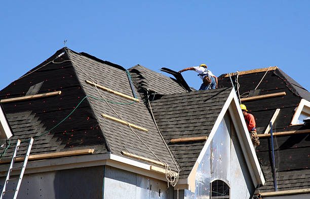 Best Best Roofing Contractors  in Le Mars, IA