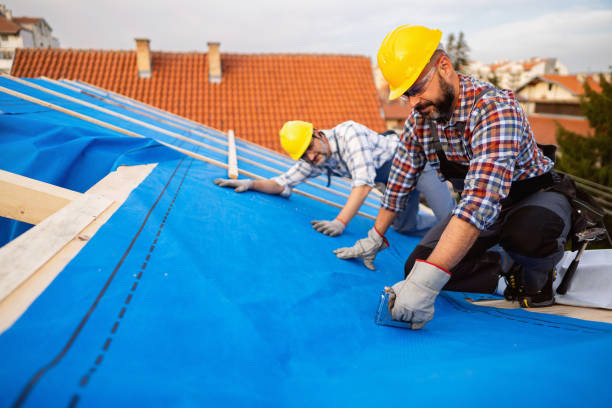 Best Flat Roof Repair Services  in Le Mars, IA