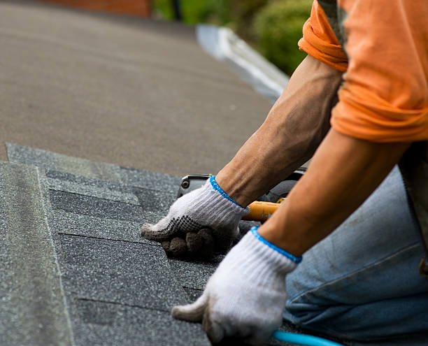 Best Best Roofing Contractors  in Le Mars, IA