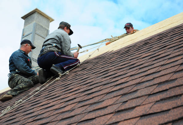 Best Slate Roofing Contractor  in Le Mars, IA