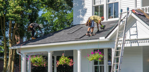 Best Local Roofing Companies  in Le Mars, IA